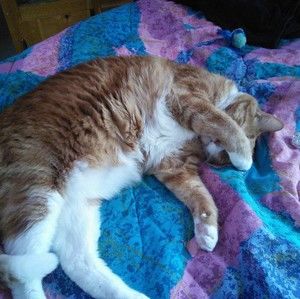 Meet your Posher, Mary